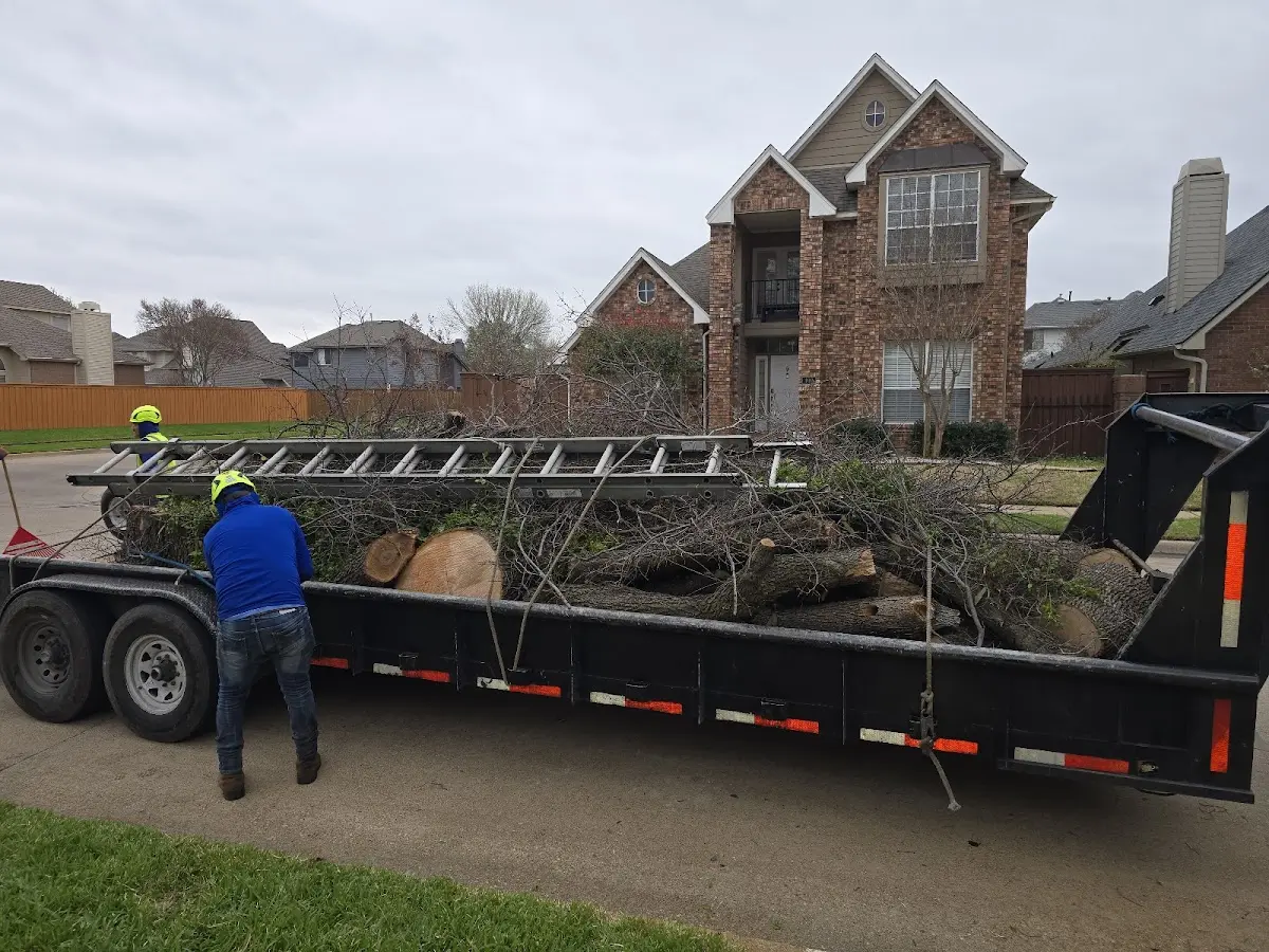 Expert Tree Pest Control with proper safety equipment in Wichita